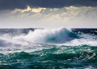 Organization culture during turbulent times